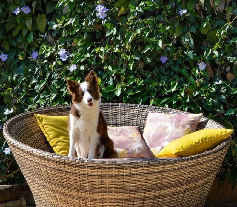 Villa Aye Pousada Boutique Petfriendly سوكورو المظهر الخارجي الصورة