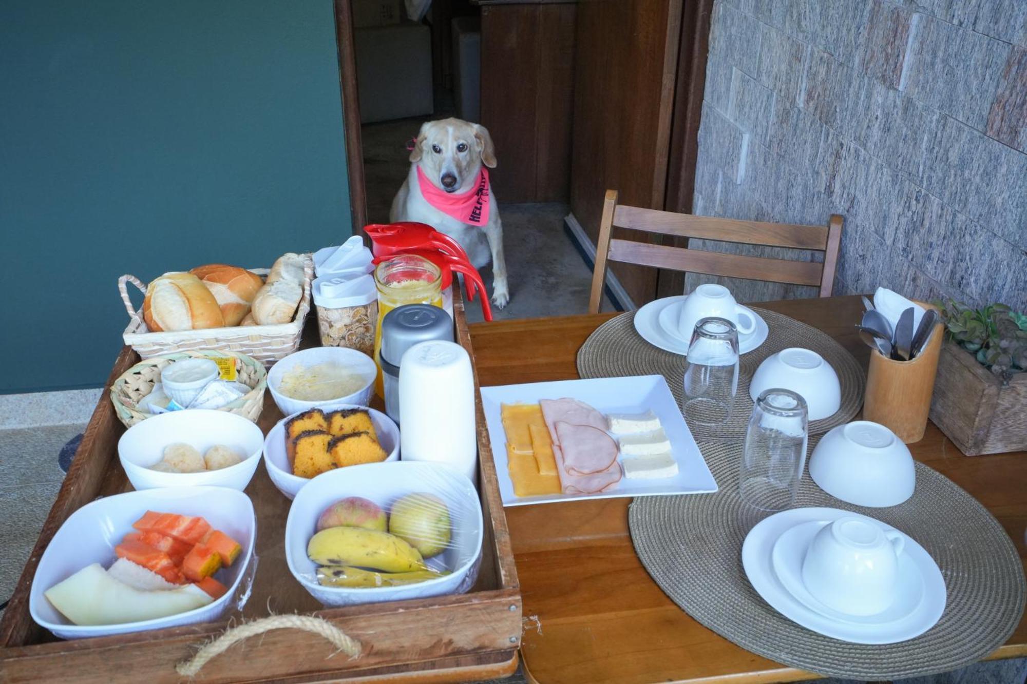 Villa Aye Pousada Boutique Petfriendly سوكورو المظهر الخارجي الصورة