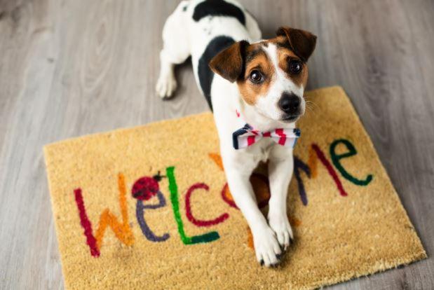 Villa Aye Pousada Boutique Petfriendly سوكورو المظهر الخارجي الصورة